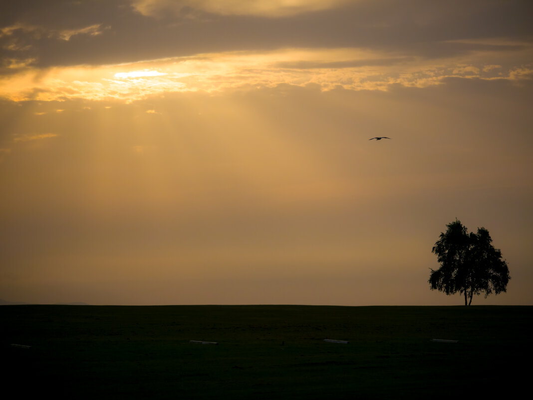 Вечернее - Валерий Т