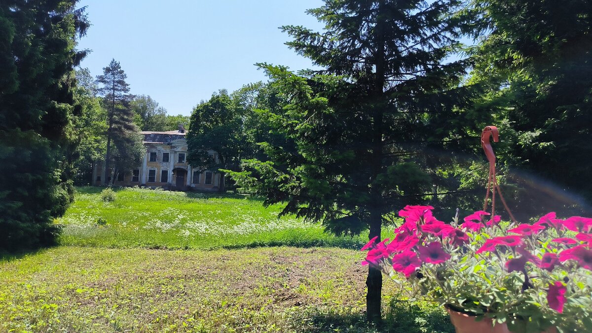 Прогулка по Шуваловскому парку. - Ольга 