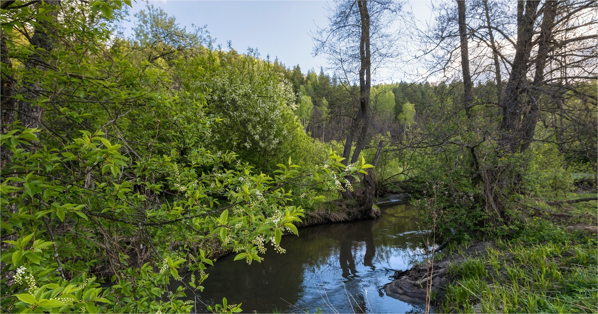 Речка Сюксюмка - **** vedin