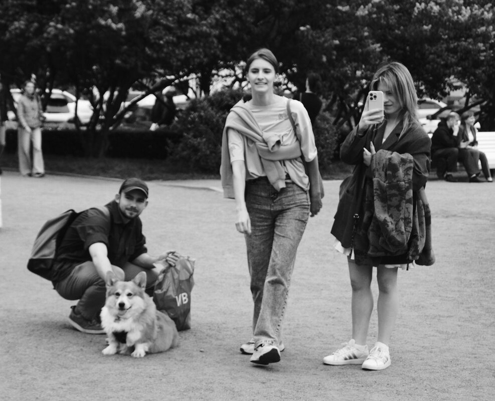 /// - Виктор Никитенко /// - Виктор Никитенко