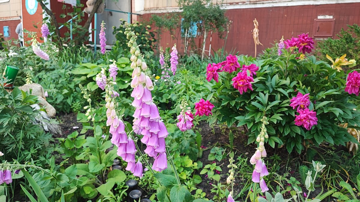 ,,, - Сергей Тимоновский