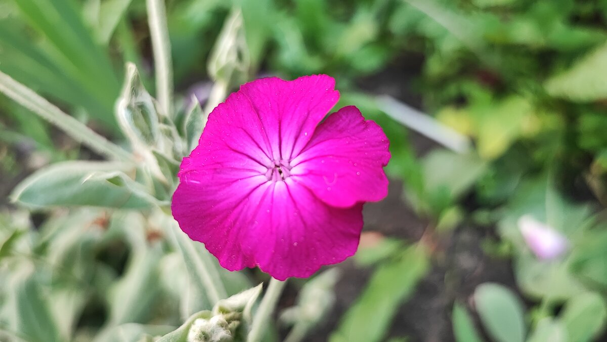 ,,, - Сергей Тимоновский