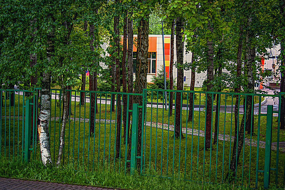 За забором - Владимир Кроливец