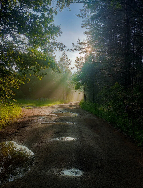 После дождика - Sergei Vikulov