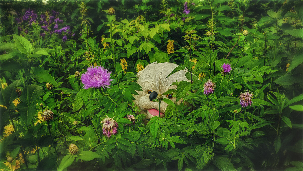 Спасити..! Памагити..! Тануу..! :)) - AZ east3