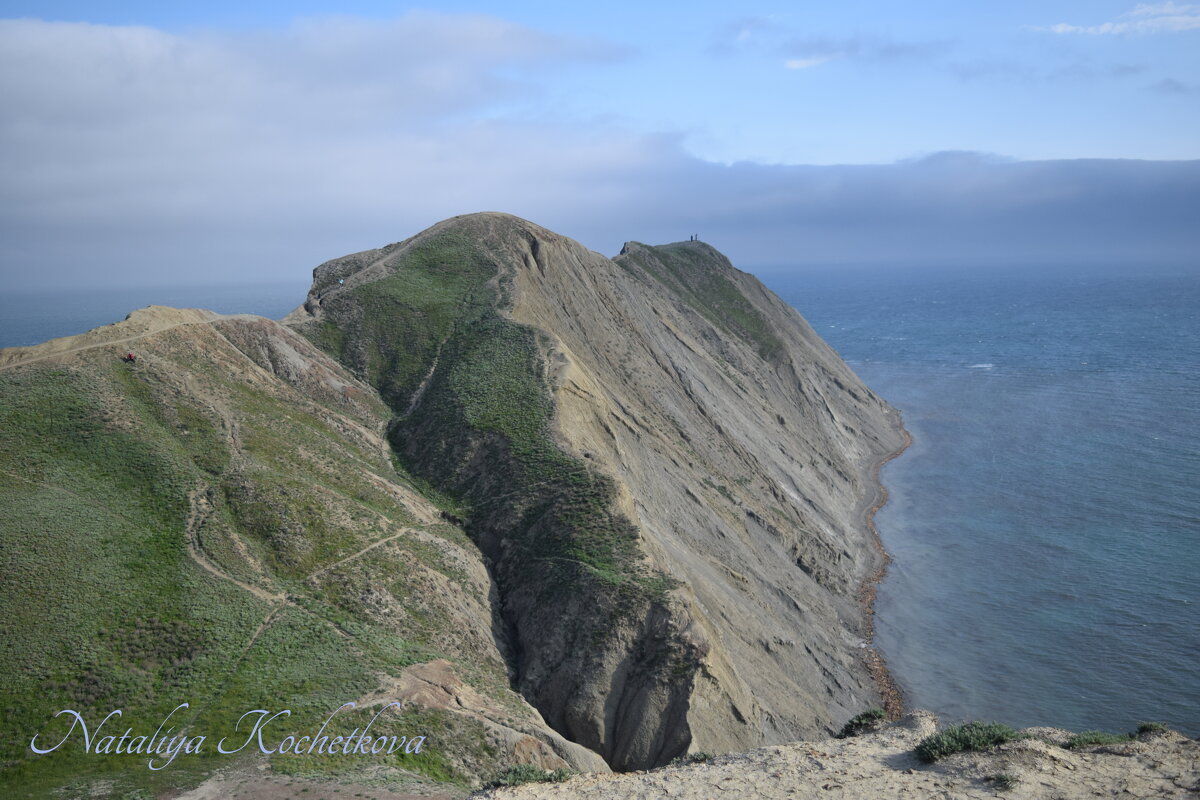 Природа Крыма - Amazing Cosmea