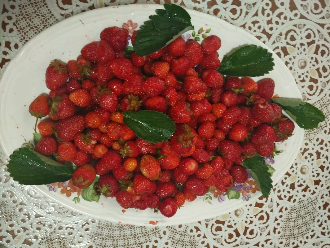 Talgar. - Murat Bukaev 