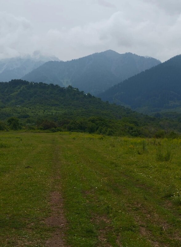 Talgar. - Murat Bukaev 