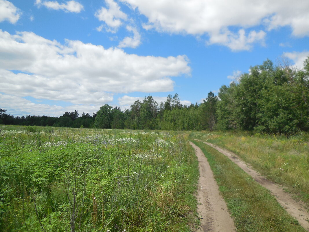 Самарские красоты - Надежда Самарские красоты - Надежда