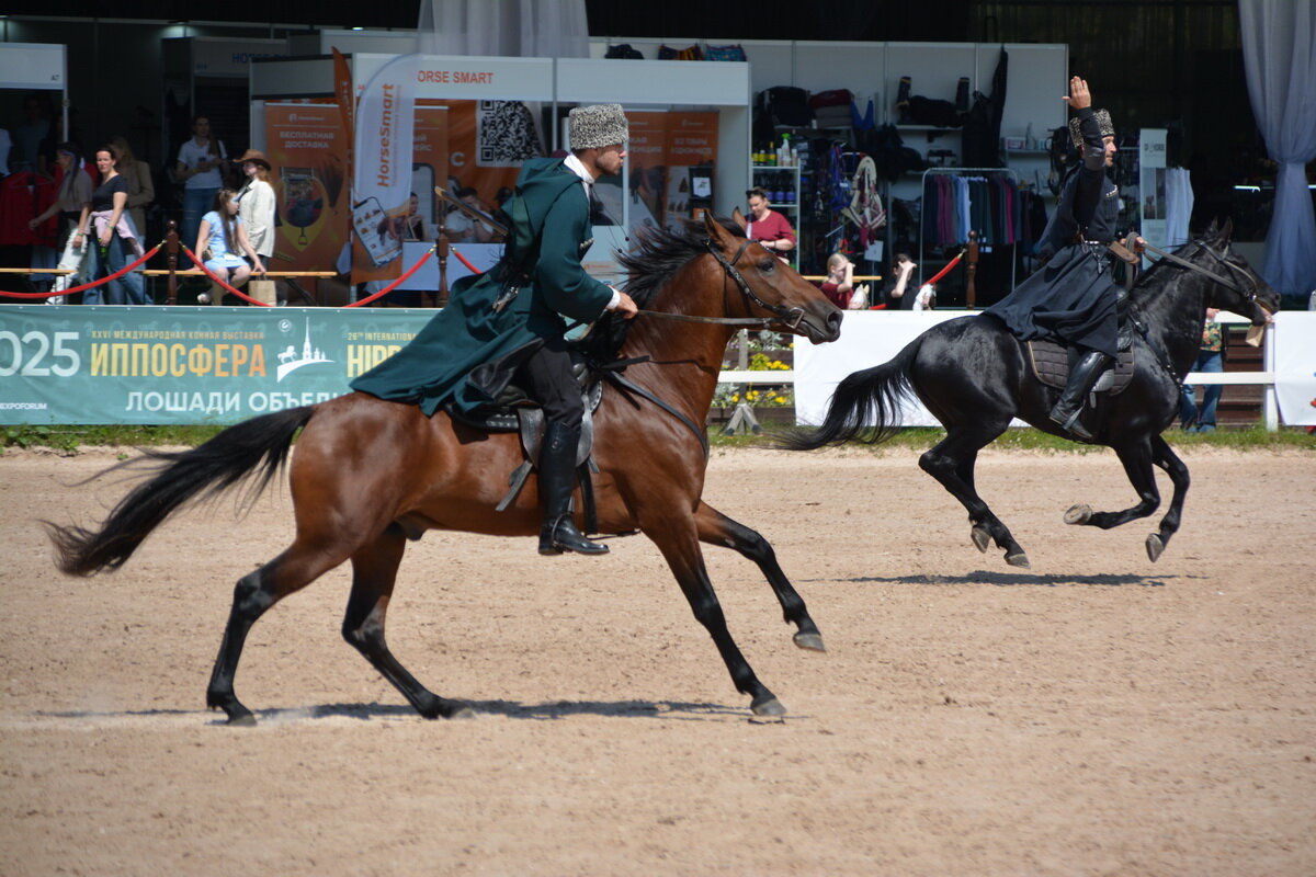 Международная конная выставка "Иппосфера" 2025 - Николай Международная конная выставка "Иппосфера" 2025 - Николай