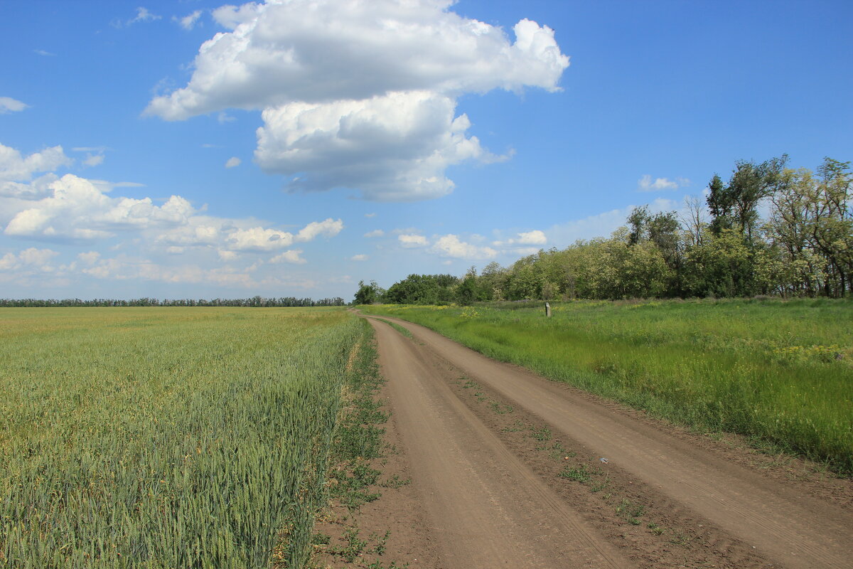 Мои дороги. - Виктор Мои дороги. - Виктор