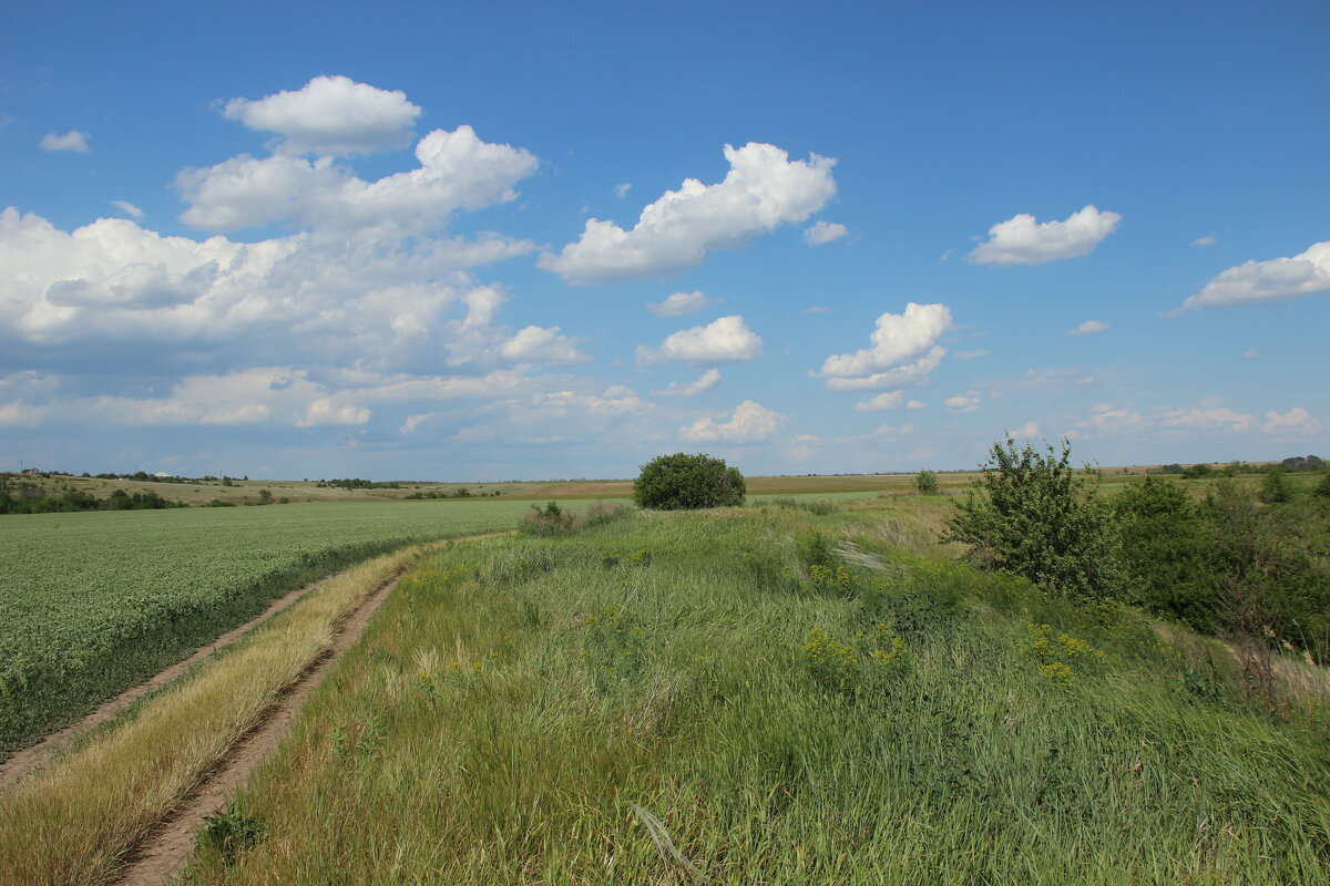 Мои дороги. - Виктор 