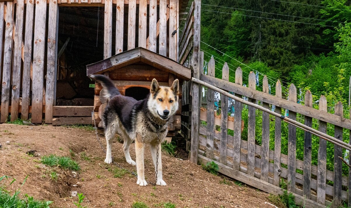 СЕКЬЮРИТИ - Анатолий Малобродский