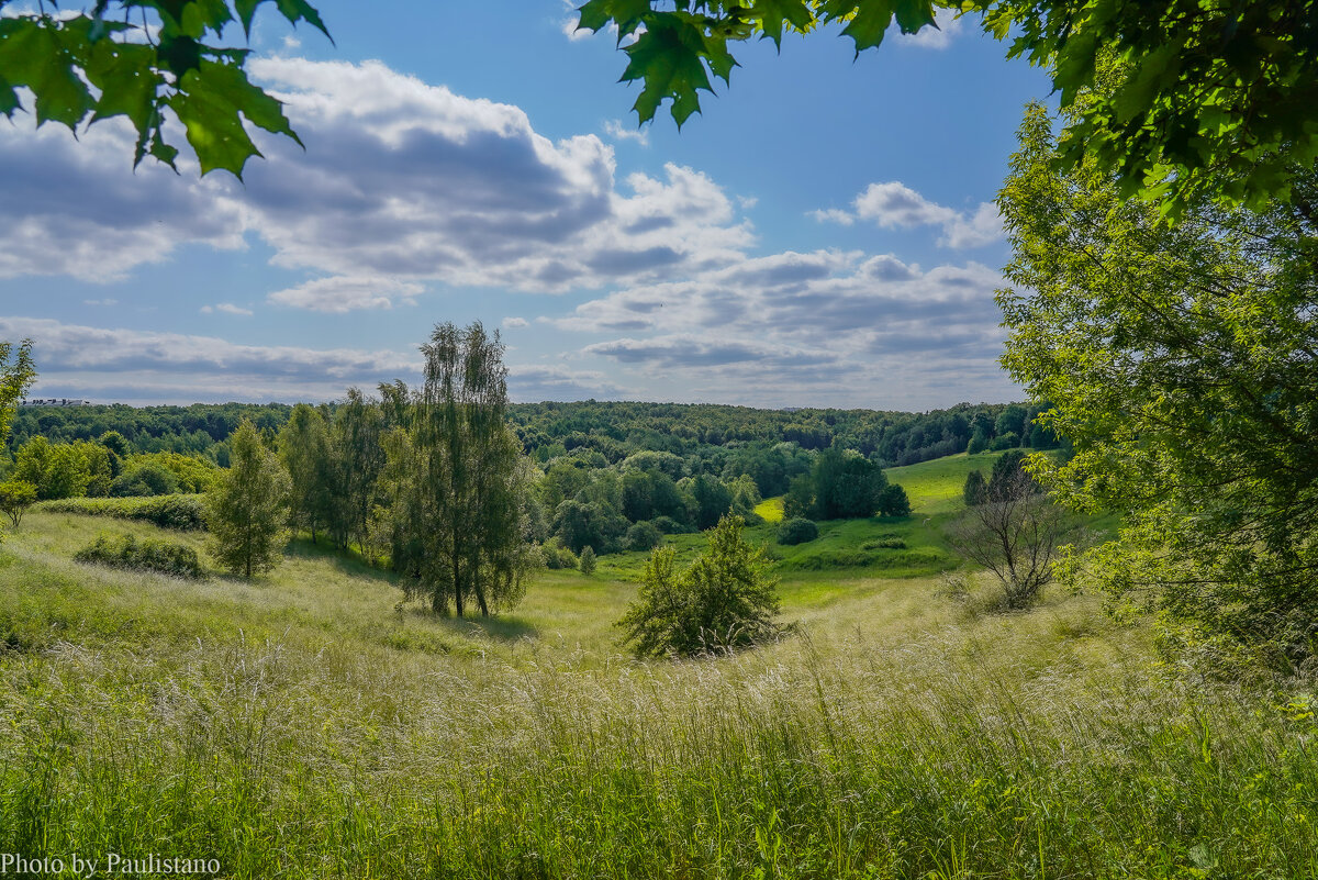 Палитра июня... - Владимир Жданов Палитра июня... - Владимир Жданов