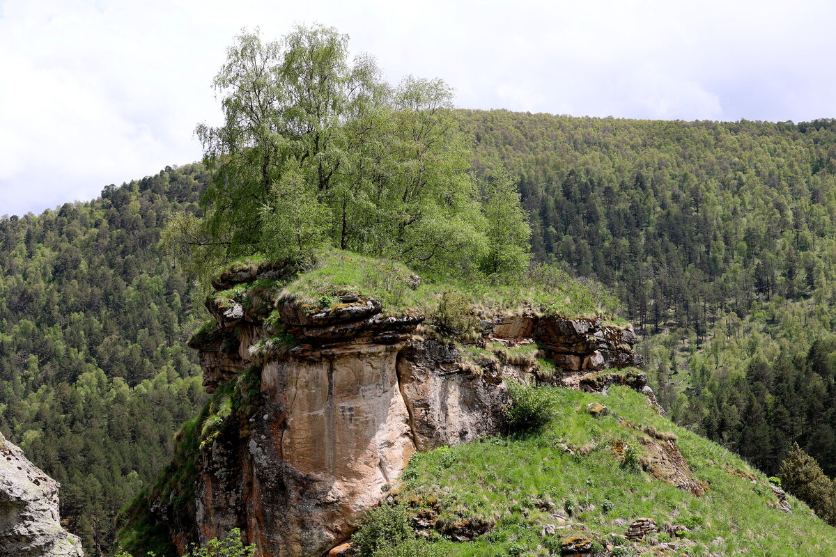 Аватар... - Александр Кондаков