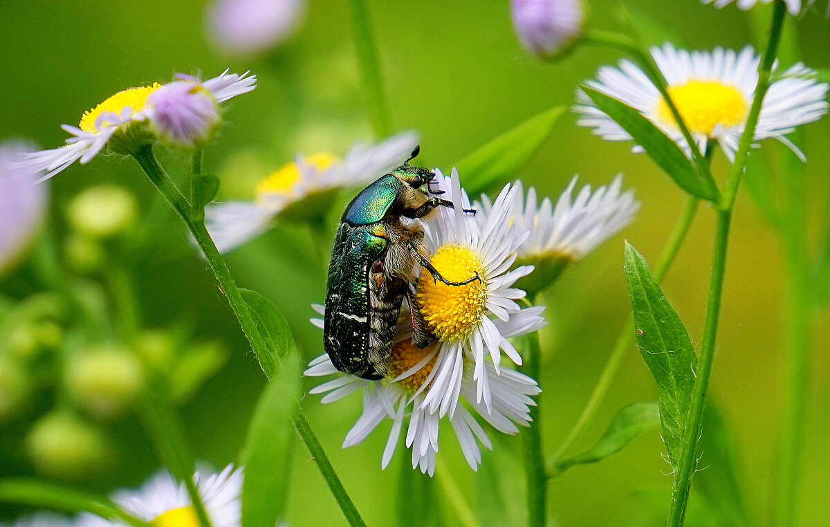 из снятого позавчера  1 - Александр Прокудин