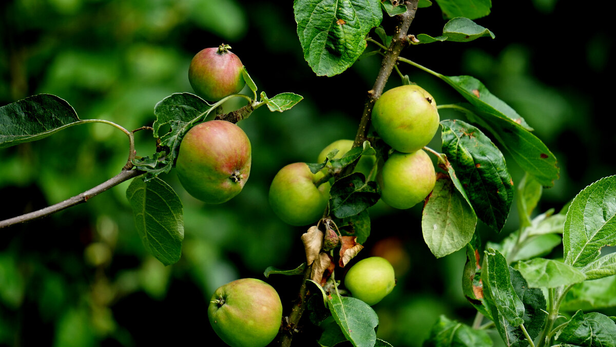 из снятого позавчера 3 - Александр Прокудин