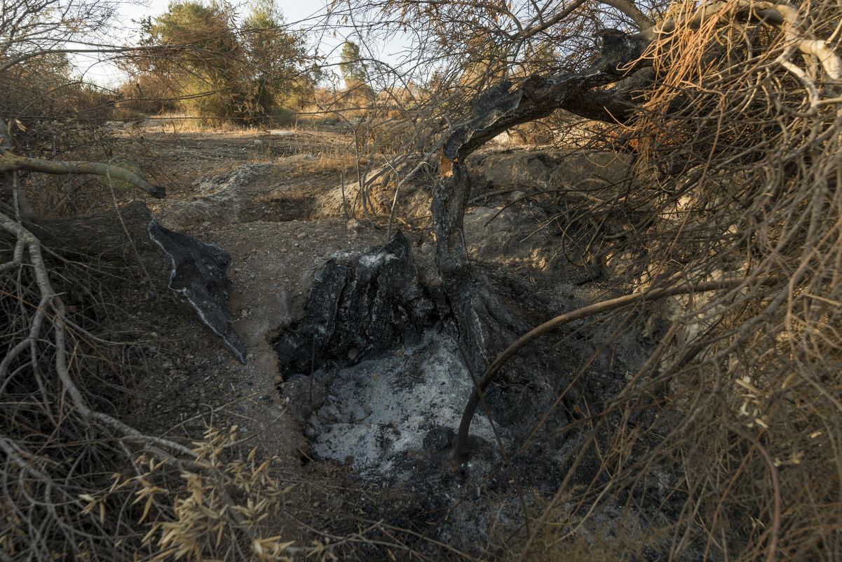 Так выгорают оливки - Иван К Так выгорают оливки - Иван К