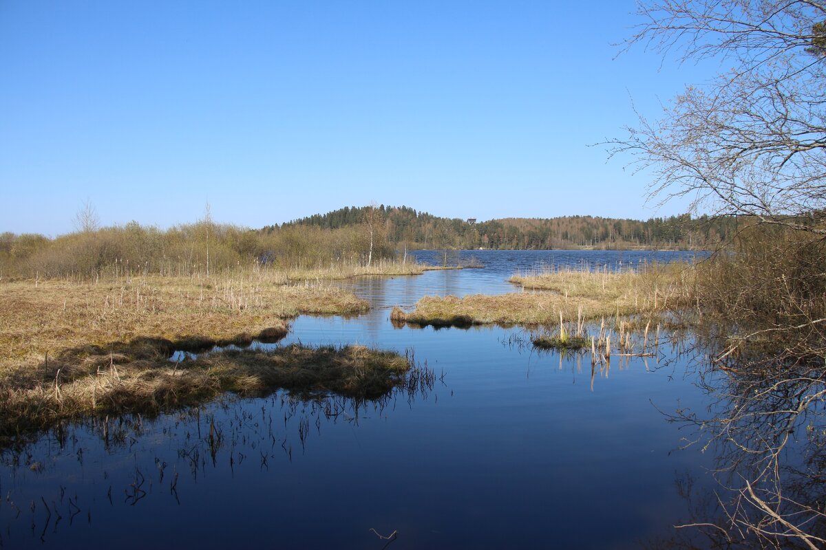 Токсово - Наталья Герасимова