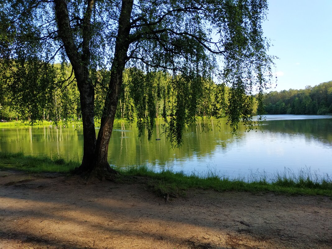 * * * - Андрей Лукьянов