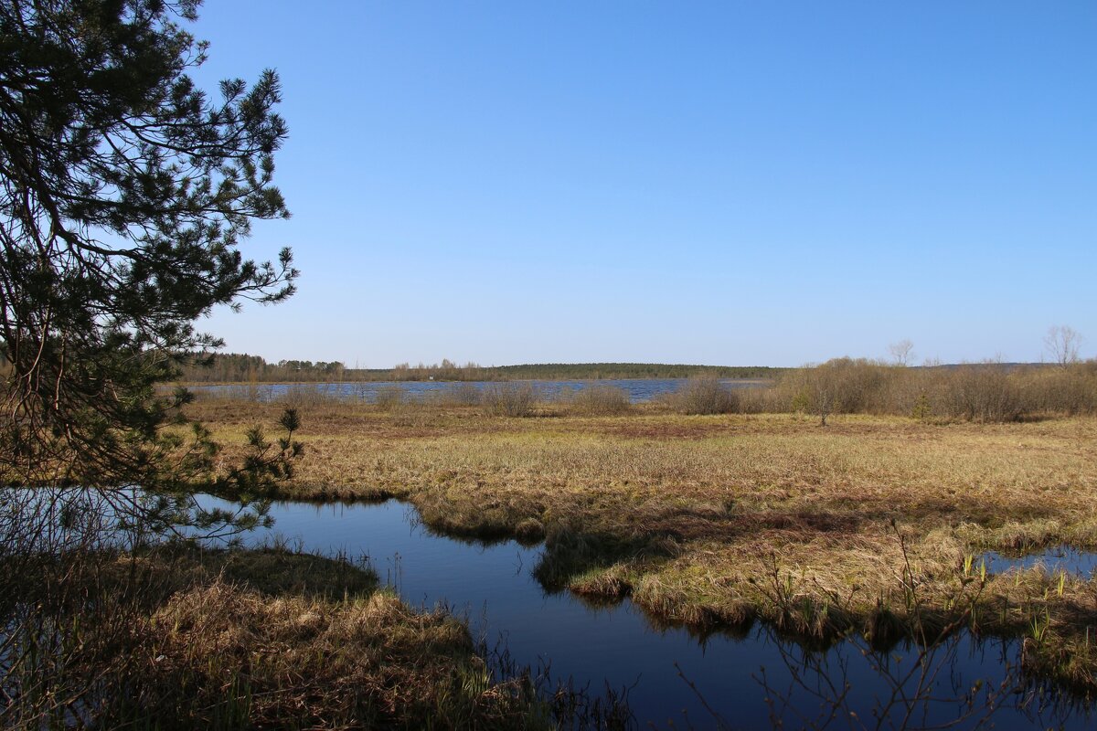 Токсово - Наталья Герасимова