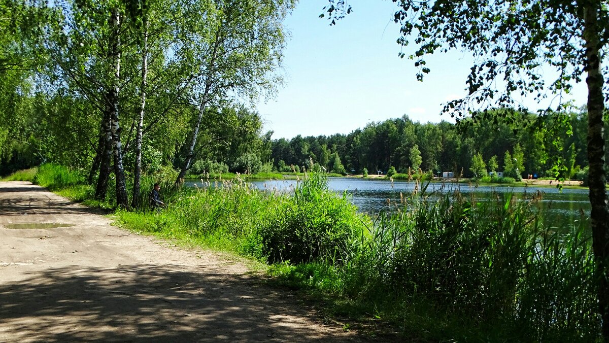 Лето в деревне (репортаж из поездок по области). - Милешкин Владимир Алексеевич 