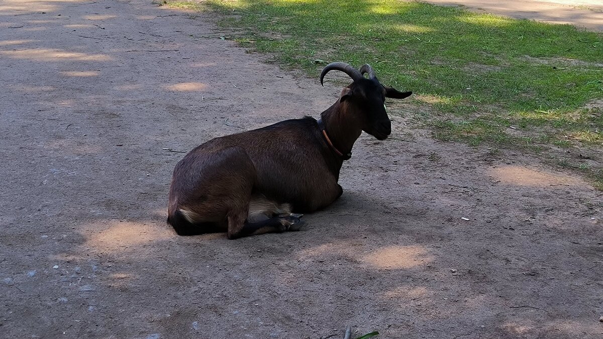 В парке. - Ольга 