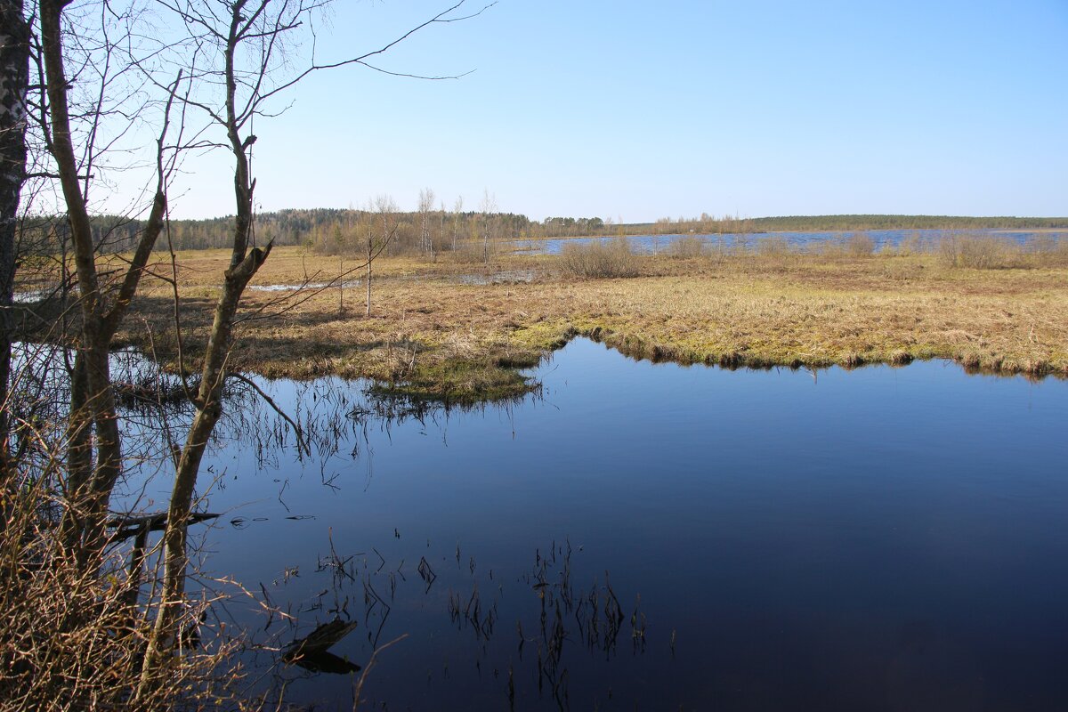 Токсово - Наталья Герасимова