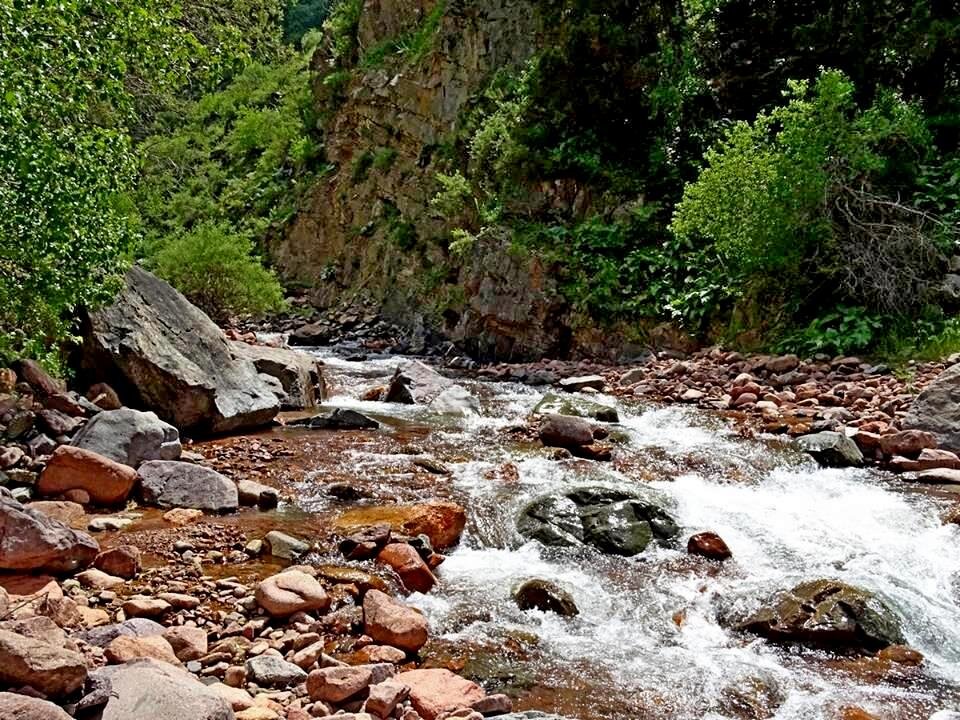 ПО ГОРАМ. - Виктор Осипчук