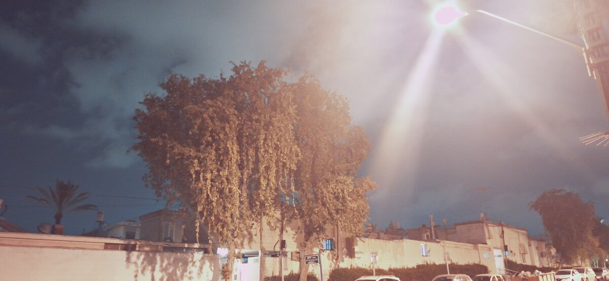 13  ОПЕН (169) - OPEN WAYS ALL