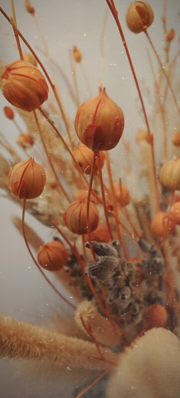 ... - Станислав Мутовин