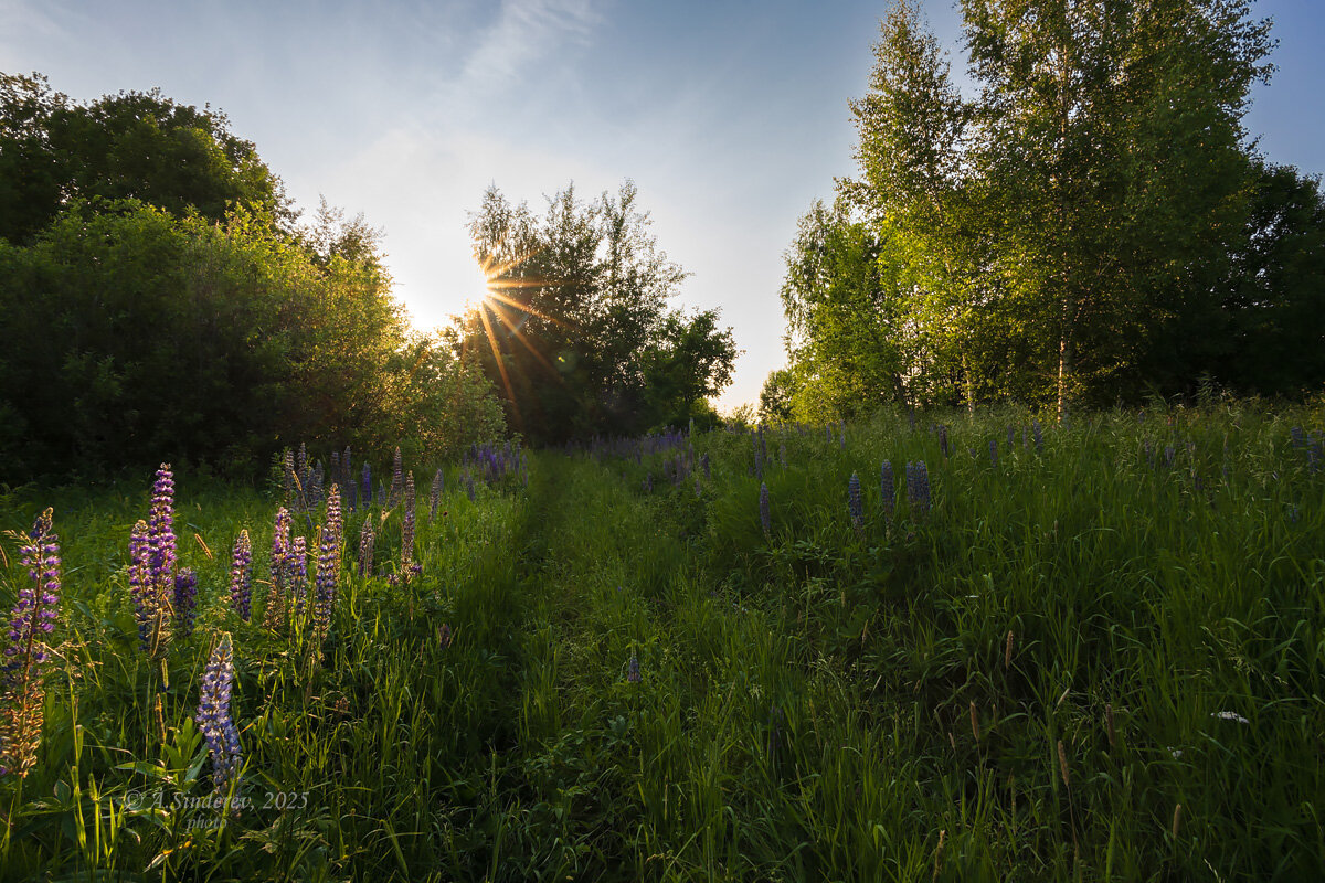 Перед закатом - Александр Синдерёв