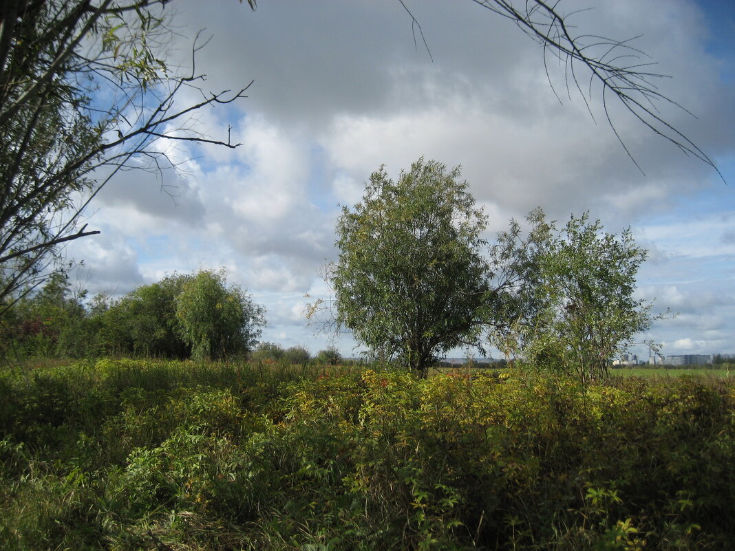 Август - Anna Ivanova