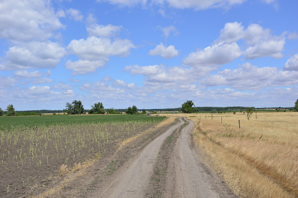 Мои дороги. - Виктор Мои дороги. - Виктор