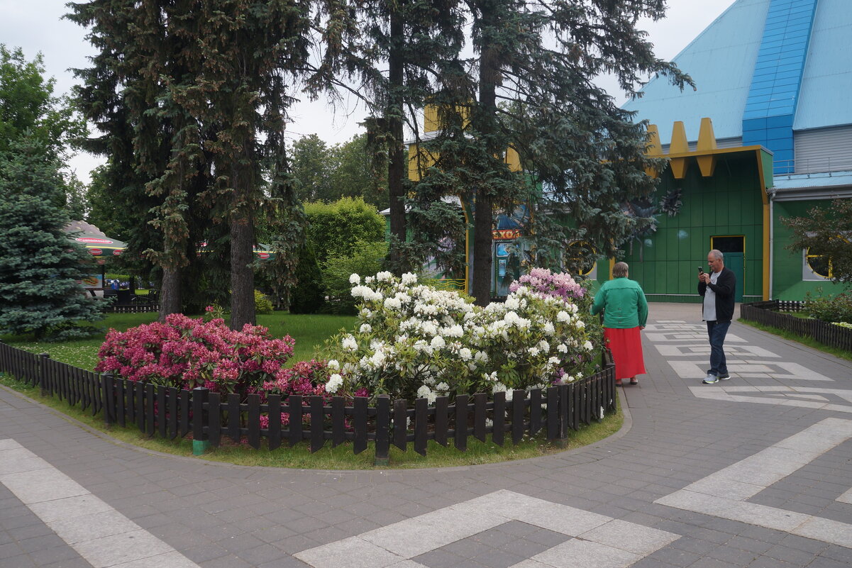 Диво остров - zavitok *