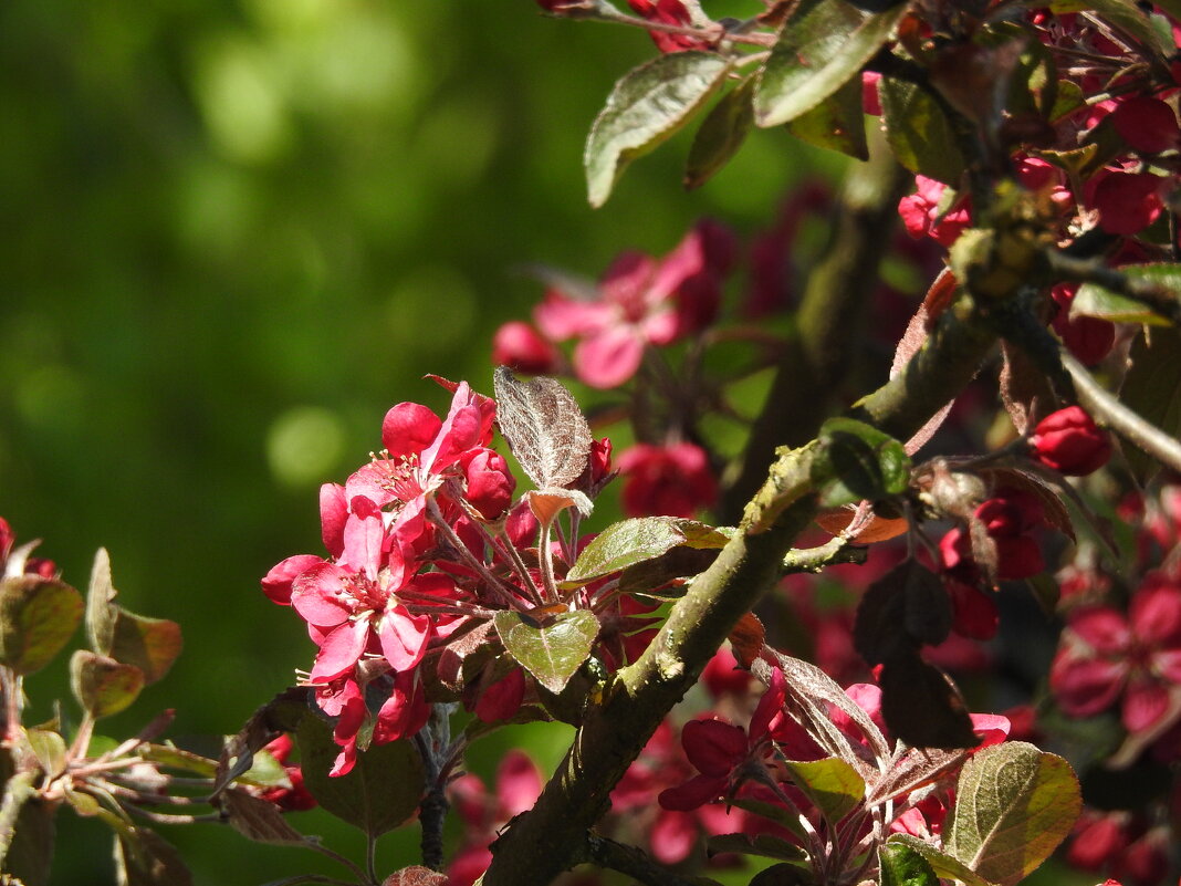 ****** - ИННА ПОРОХОВА