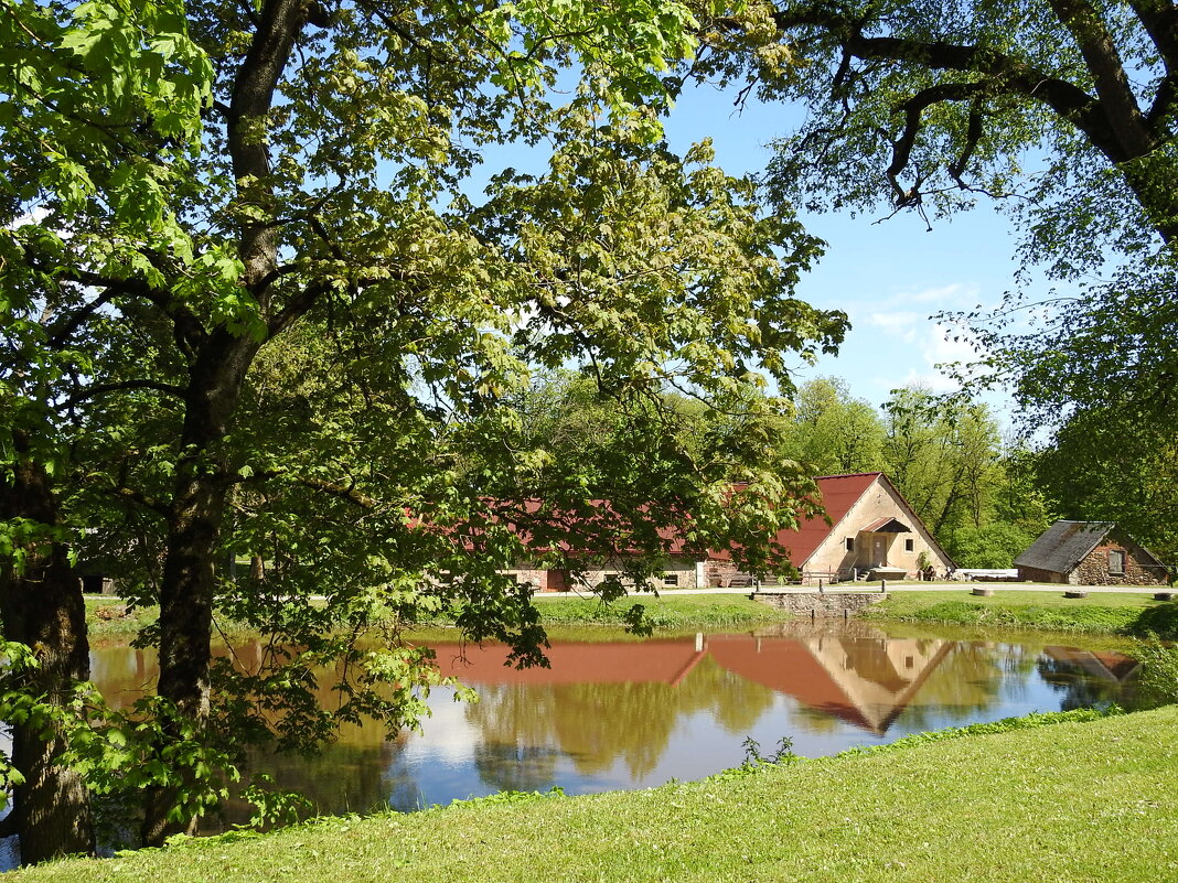 ****** - ИННА ПОРОХОВА