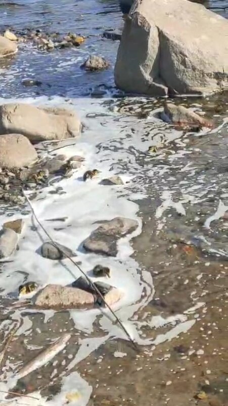 Онежское озеро - Ирэн Онежское озеро - Ирэн