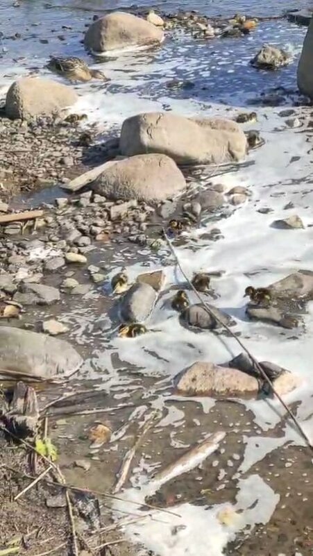 Онежское озеро - Ирэн 