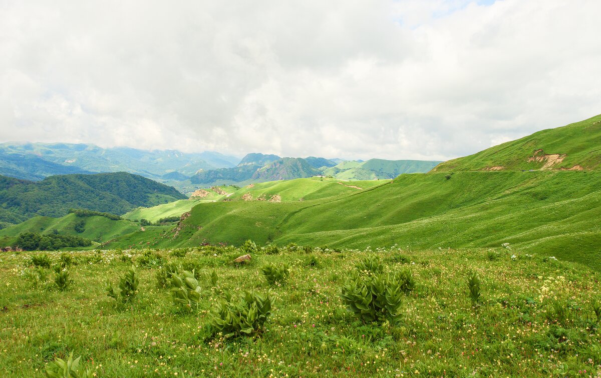 Кабардино-балкария - Олег Алексеев