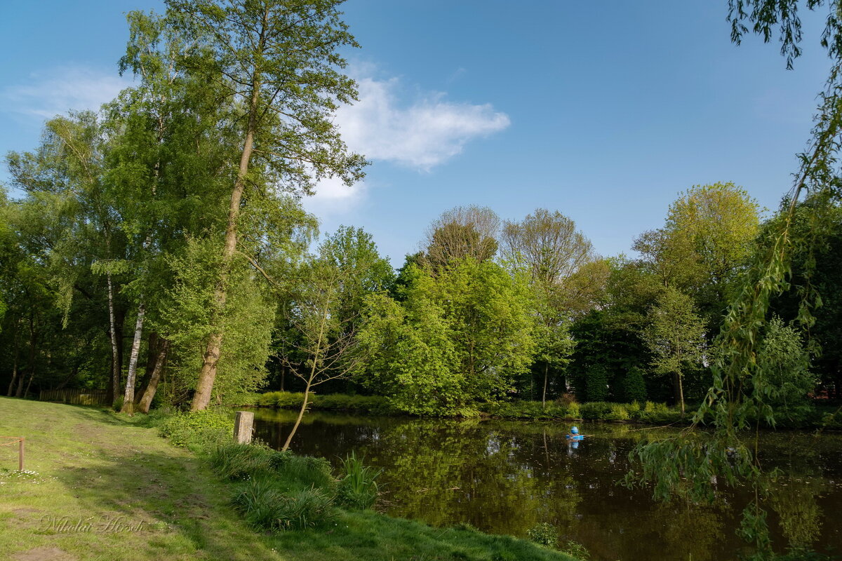 *** - Николай Гирш