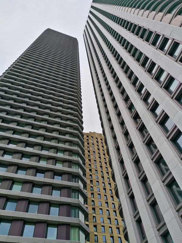 Городская геометрия - Наталья Rosenwasser