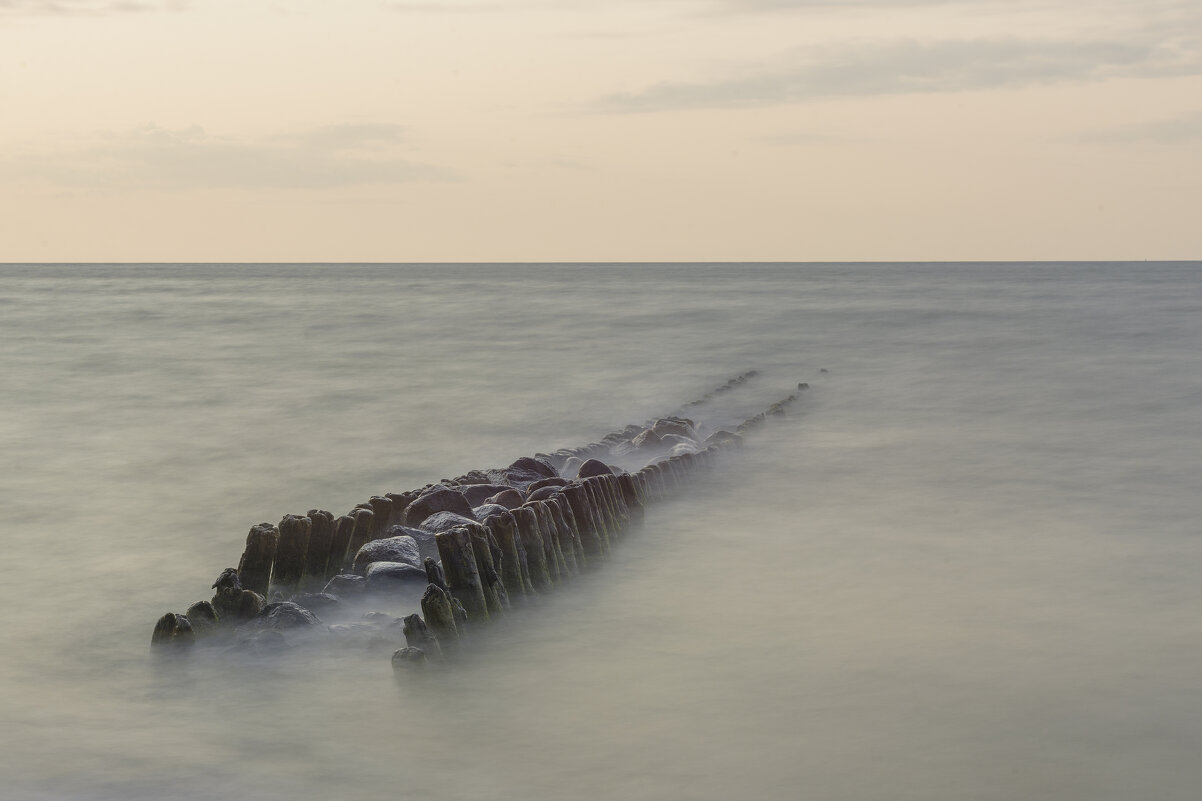 скелет - Максим Вышарь