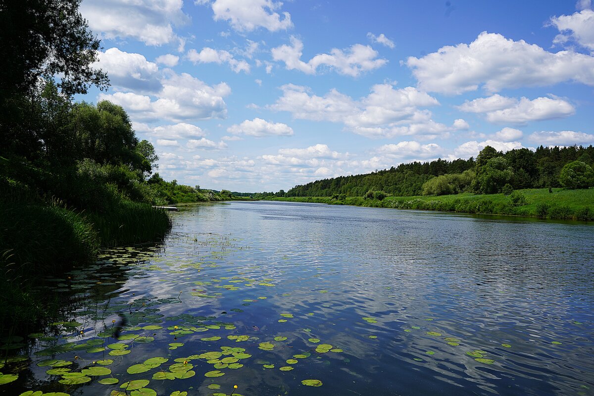 Река Угра - Татьяна Тюменка