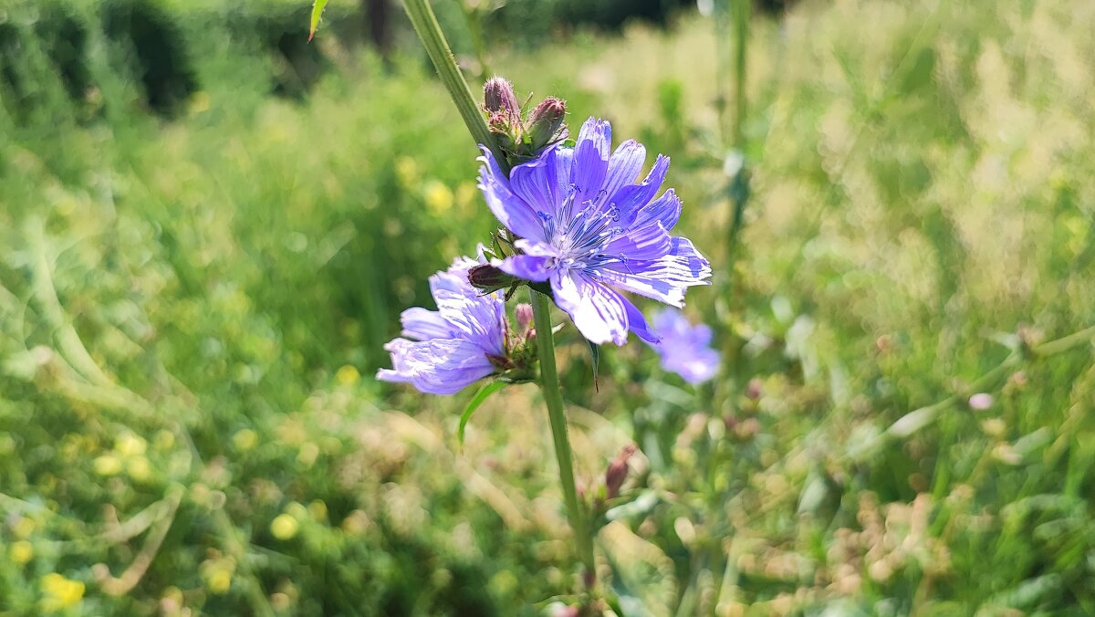 ,,, - Сергей Тимоновский