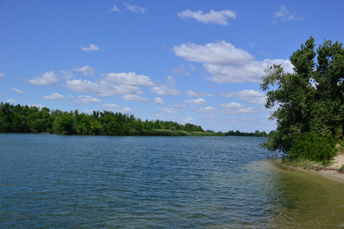 Местная река. - Виктор 