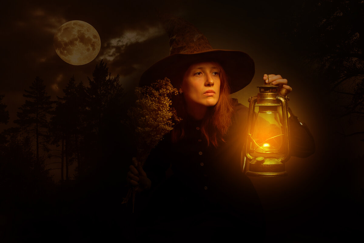 в лунную ночь - alexzonder 