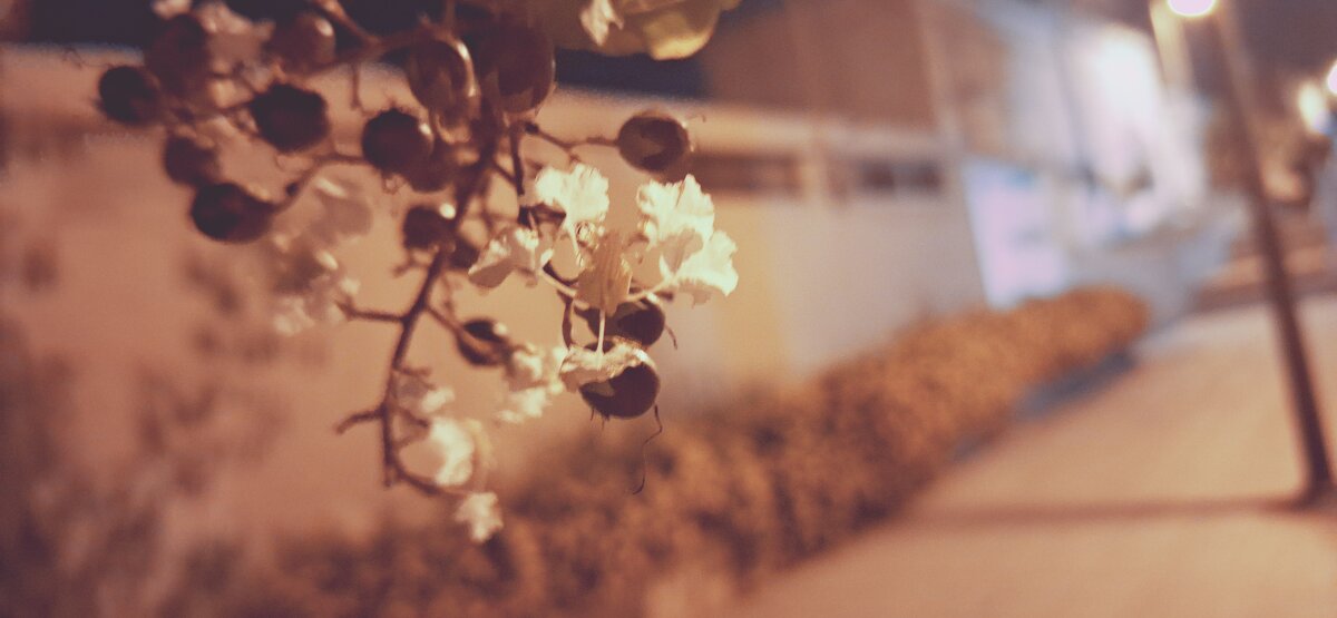 13  ОПЕН (178) - OPEN WAYS ALL