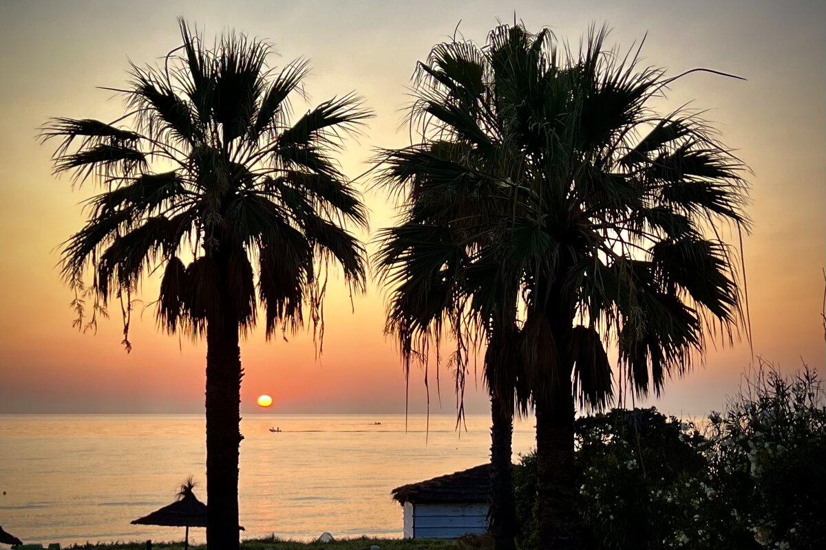 Восход - Натали Королева