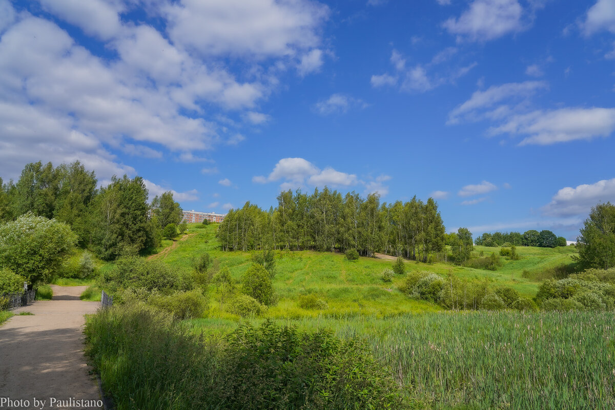 Палитра июня... - Владимир Жданов Палитра июня... - Владимир Жданов